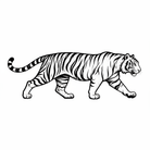 Tiger kráčajúci v profile s detailnými pruhmi, čierno-biela ilustrácia — KERKKA